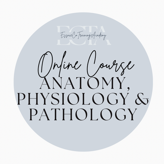 Accredited Level 3 Certificate in Anatomy, Physiology & Pathology
